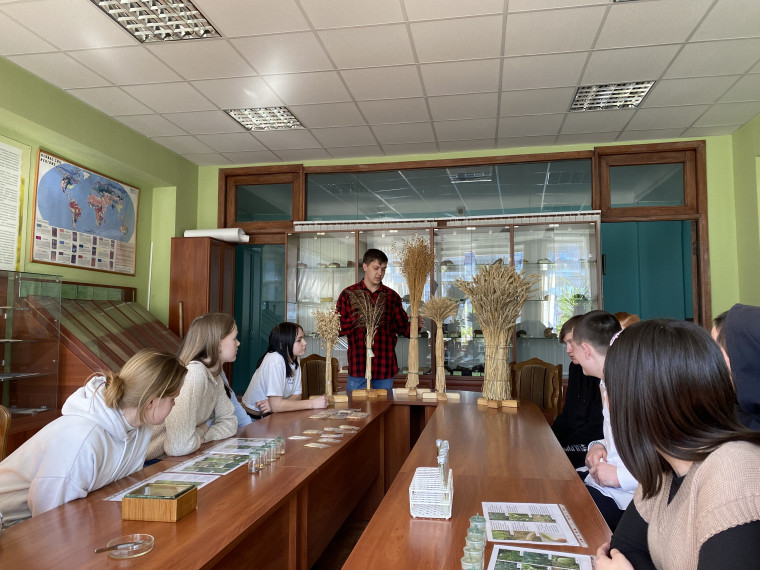 Путешествие в мир профессий.